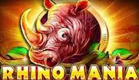 Rhino Mania