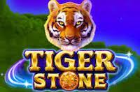 Tiger Stone
